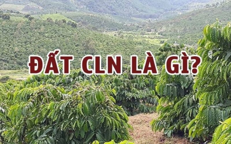 Đất CLN là gì