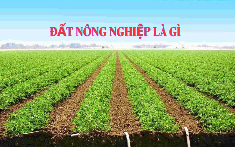 Đất nông nghiệp là gì