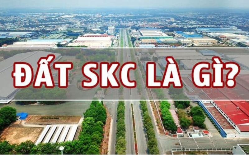 Đất SKC là gì