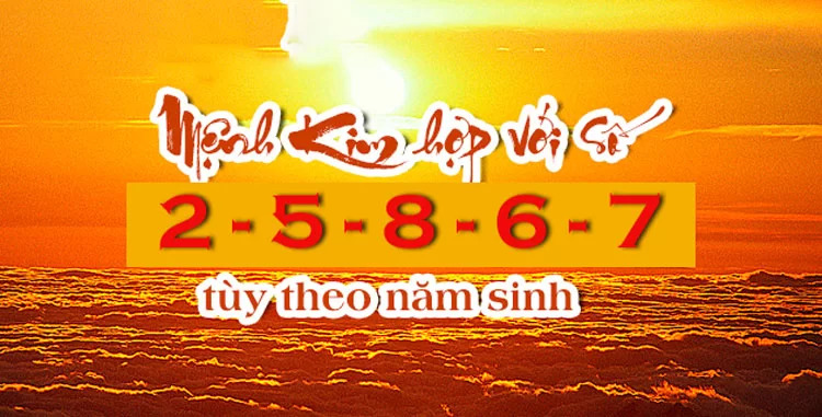 Mệnh Kim hợp số mấy