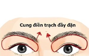 cung điền trạch