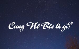 cung Nô Bộc là gì