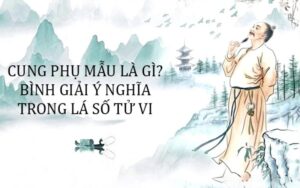 cung Phụ Mẫu là gì