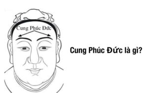 cung phúc đức là gì