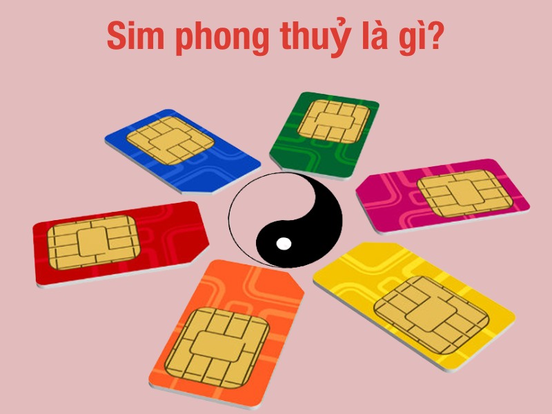 sim phong thuỷ là gì