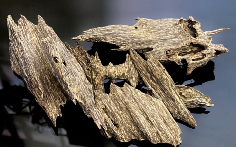 trầm hương là gì