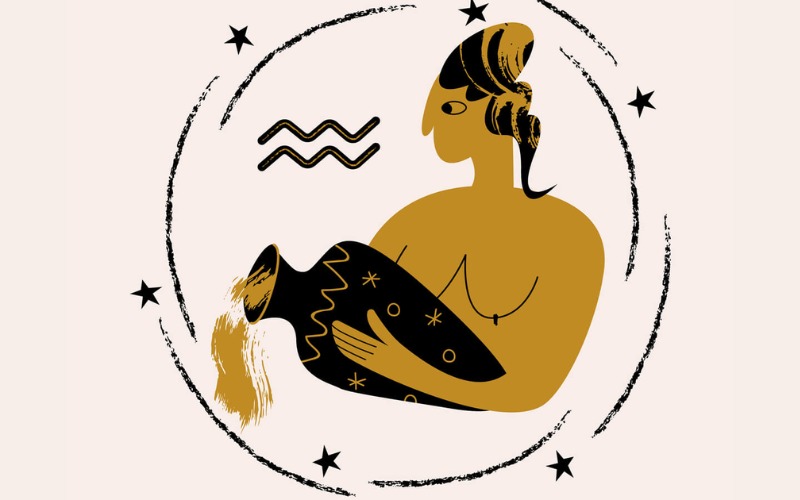 Sự nghiệp của cung Bảo Bình