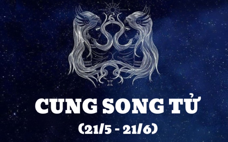 cung song tử
