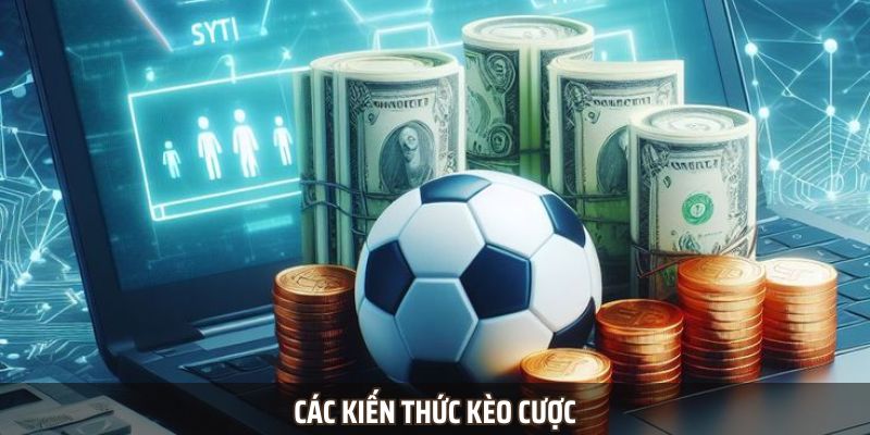 Chuyên mục tin tức này mang lại cho bet thủ các kiến thức kèo cược